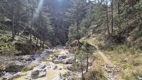 Fotografija s spletne strani Fabrizio Plesnizer na poti