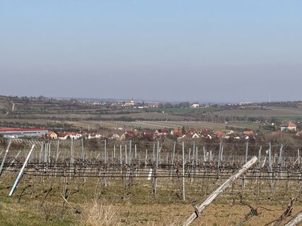 Fotografia z F. Shirazi-Joska na trase