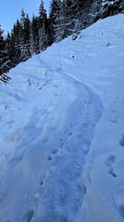 Photo de se_muck le long du parcours