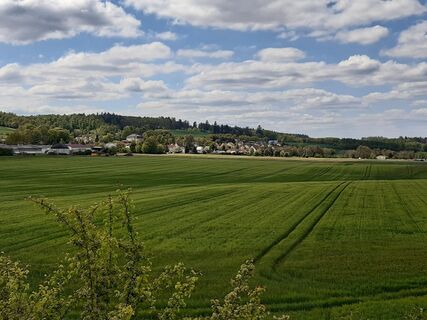 Blick auf Lemnitz und den Gutswald