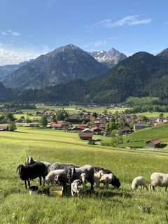 Fotografie z AloisiusK na trase