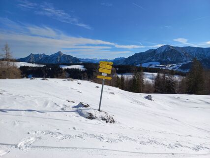 Pitscherbergalm