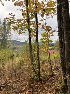 Photo de FriluftslivGoat le long du parcours