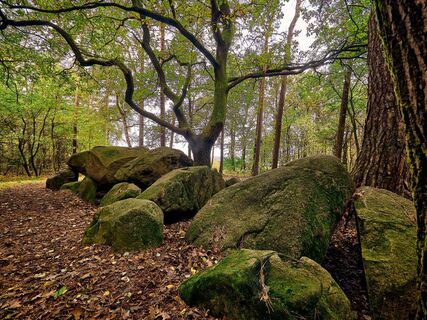 Großsteingrab am Wiemelsberg nahe Ueffeln (Bramsche)