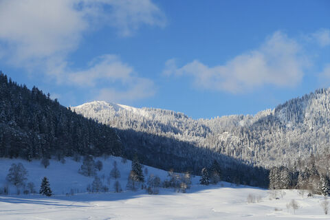Herzogenhorn von Menzenschwand Hinterdorf