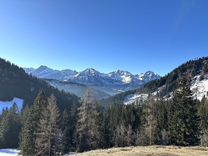 Foto von Natur_erleben_dg entlang der Tour