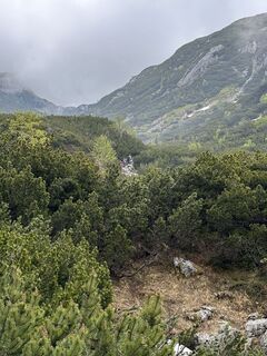 Foto von Babs Holz entlang der Tour