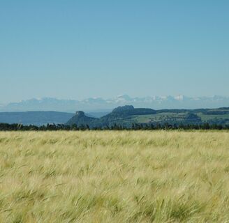 Hegau mit Alpenpanorama