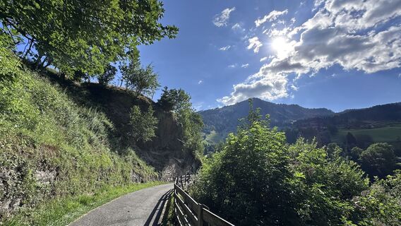 Zdjęcie z Mountain Cat ? ⛰️ wzdłuż trasy