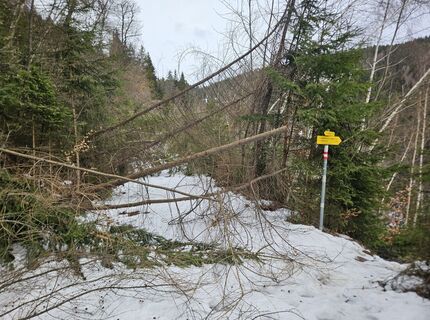 Foto von Franz Russ entlang der Tour