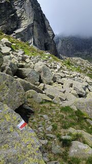 Photo de EdenRose le long du parcours