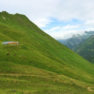 Querung Richtung obere Spitalalpe (unbewirtschaftet)