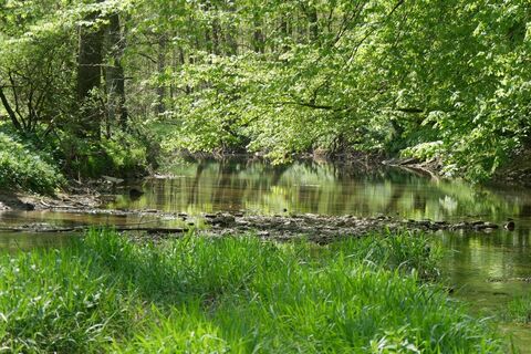 Nethe bei Schloss Rheder