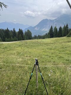 Photo de Oli le long du parcours