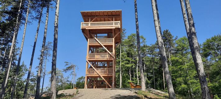 Aussichtsturm Wiesen/Lanzenkirchen