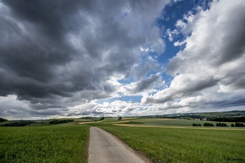 Weg Richtung Bannholz