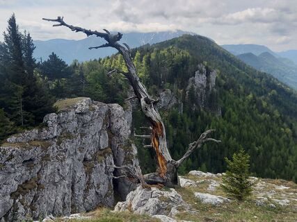 Foto von Christoph Schnack entlang der Tour