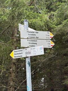Photo de Silkrie ?✌️ le long du parcours