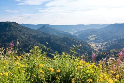 Blick vom Bauernkopf