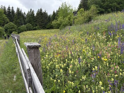 Foto von Johann Püringer entlang der Tour