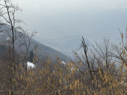 Photo de Robert Miller le long du parcours