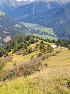 Foto von Petra Matthes entlang der Tour