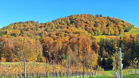 Fotografia z Karl Kriegseisen na trase
