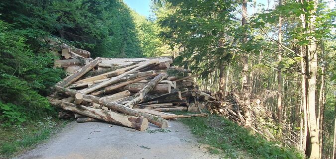 Fotografija s spletne strani mike wm na poti