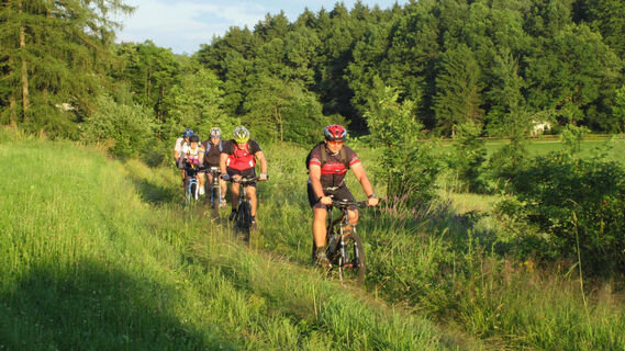 Unterwegs auf Waldwegen