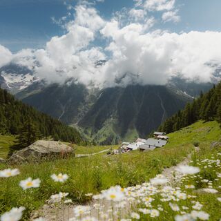 Lötschentaler Höhenweg Lauchernalp - Fafleralp
