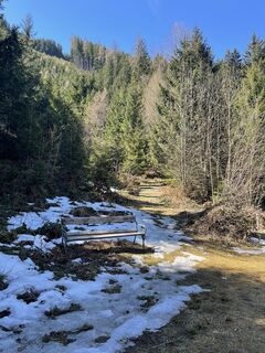 Foto de Tania Schmid a lo largo del recorrido