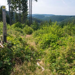 Aufstieg vom Krenkeltal zum Rothaarsteig