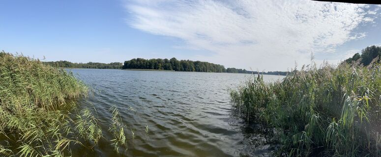 Foto von Thomax entlang der Tour