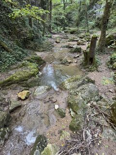 Фото с сайта Gerhard Piglmann во время экскурсии