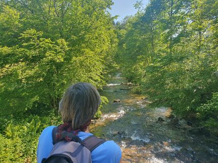 Photo de wanderelke le long du parcours