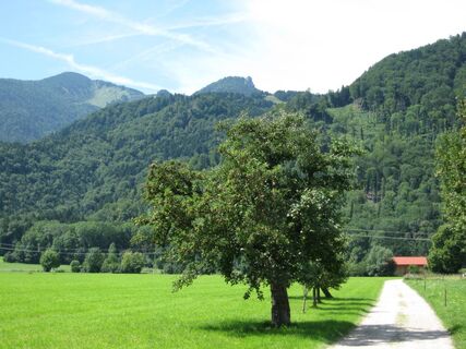 Blick zur Hochplatte