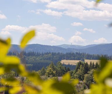 Breitnau mit Blick auf den Feldberg
