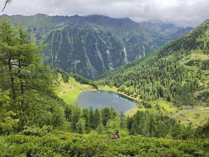 Foto von Poestlingberg entlang der Tour