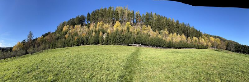 Fotografia z Gerhard Lilek na trase