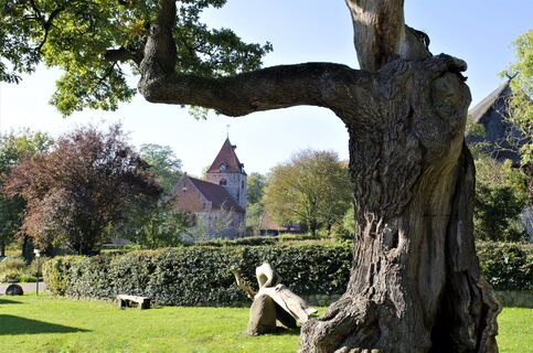 Dötlingen_Huntepadd_Gemeinde Dötlingen_Klaus Sekuly_41_Eiche und Kirche_Favorit 1.jpg
