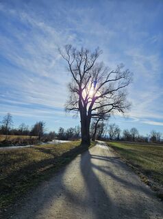 Zdjęcie z garrincha wzdłuż trasy