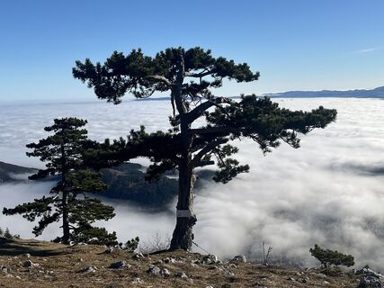 Zdjęcie z kristianduus wzdłuż trasy