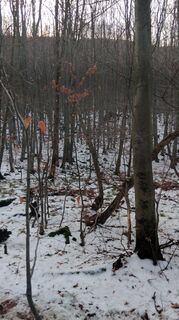 Foto von Peti varga entlang der Tour