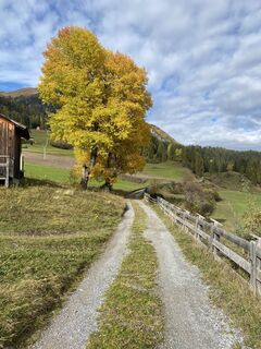 Foto van Daniel Bulfoni langs de tour