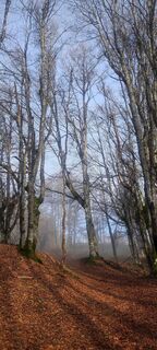 Foto de Franco Bini a lo largo del recorrido