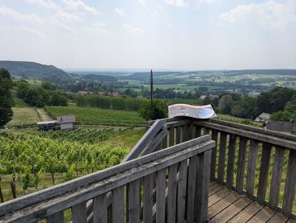 Ausblick von Tieschen ins Tal in Richtung Mureck im Westen und Bad Radkersburg im Südosten