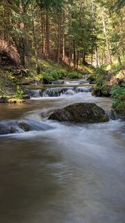 Fotografija s spletne strani joeman na poti