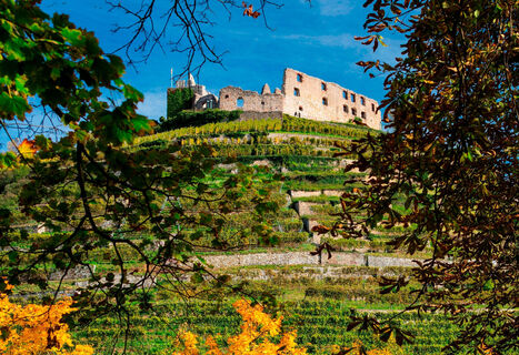 Staufens Burg sollte man "mitnehmen".
