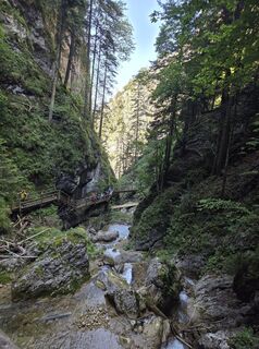 Foto von Timon Bertignoll entlang der Tour