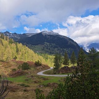 Fotó a Nila Perez honlapról a túra során